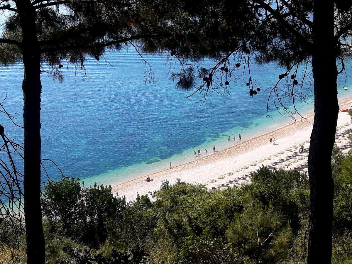 Viverenumana Appartamenti La Tua Casa In Centro A Pochi Passi Dal Mare Exterior foto